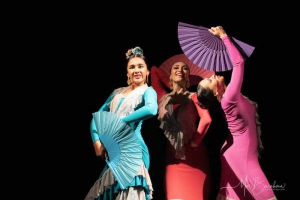 Book a show Flamenco show Sydney