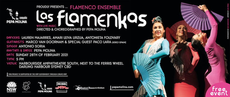 Flamenco show